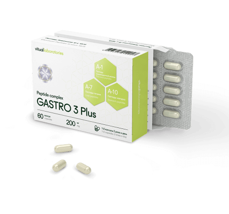 Gastro-2-600x420