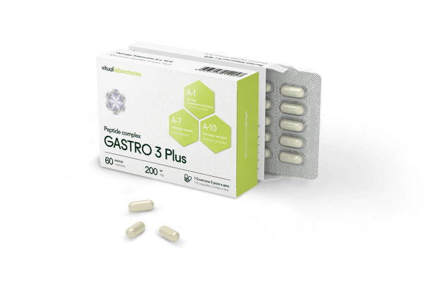 Gastro-2-600x420