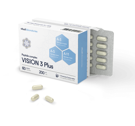 Vision 3 Plus